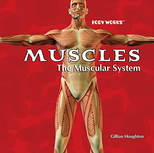 Beispielbild fr Muscles: the Muscular System zum Verkauf von Better World Books