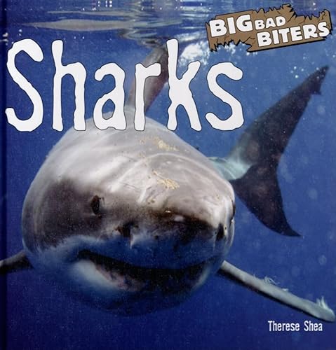 Beispielbild fr Sharks zum Verkauf von Better World Books