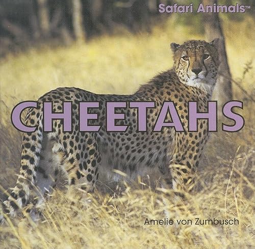 9781404236141: Cheetahs (Safari Animals)