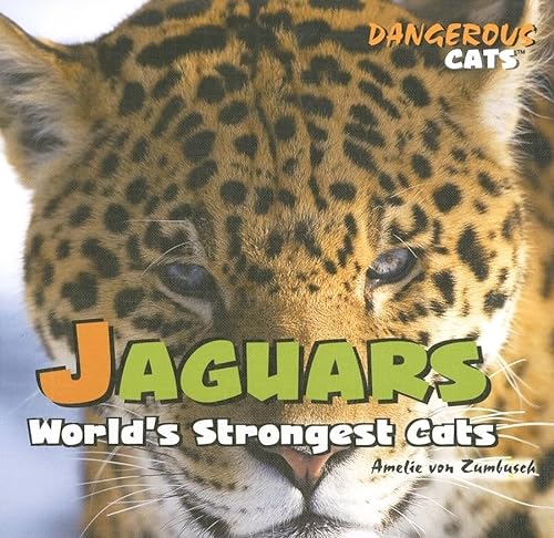 Imagen de archivo de Jaguars: World's Strongest Cats a la venta por Ammareal