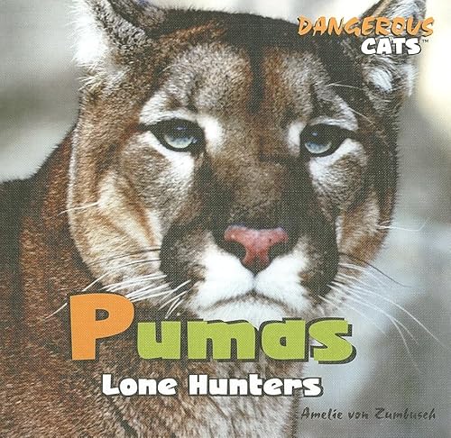 Imagen de archivo de Pumas : Lone Hunters a la venta por Better World Books