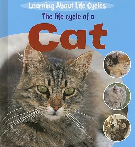 The Life Cycle of a Cat (Learning About Life Cycles) (9781404237100) by Thomson, Ruth