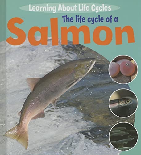 Imagen de archivo de The Life Cycle of a Salmon a la venta por Better World Books: West