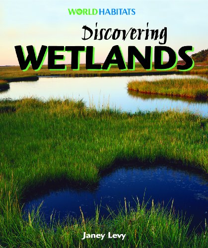 9781404237841: Discovering Wetlands