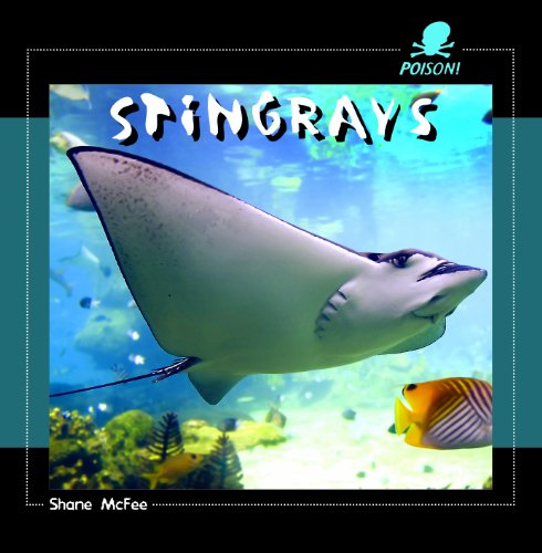 Imagen de archivo de Stingrays a la venta por ThriftBooks-Atlanta