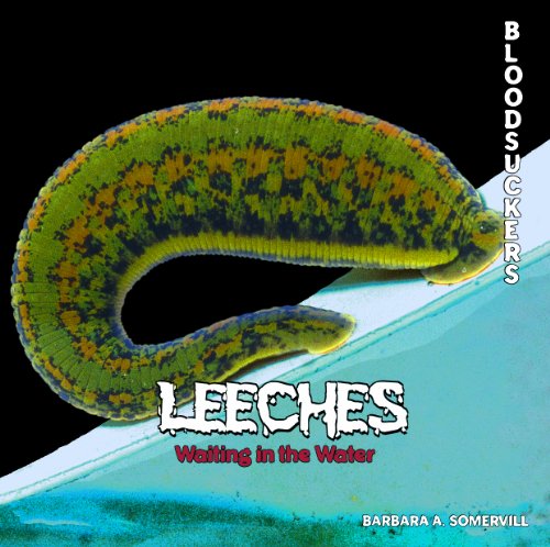 9781404238015: Leeches: Waiting in the Water (Bloodsuckers)