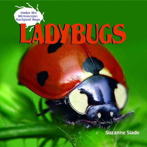 Ladybugs (Under the Microscope: Backyard Bugs) (9781404238183) by Slade, Suzanne