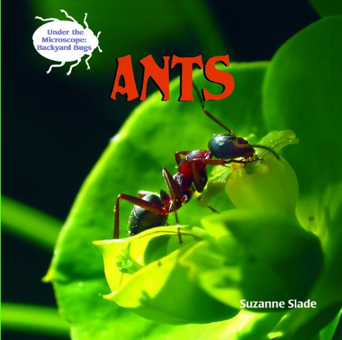 9781404238237: Ants (Under the Microscope: Backyard Bugs)