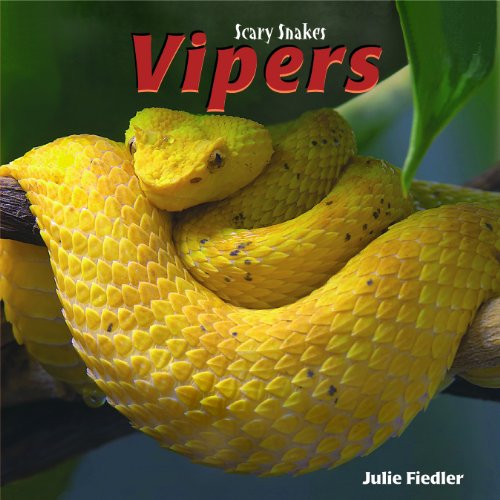 9781404238336: Vipers (Scary Snakes)