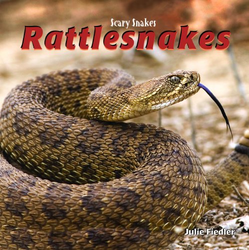 Stock image for Rattlesnakes for sale by Better World Books