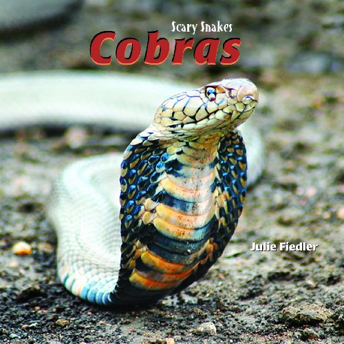 9781404238374: Cobras (Scary Snakes)