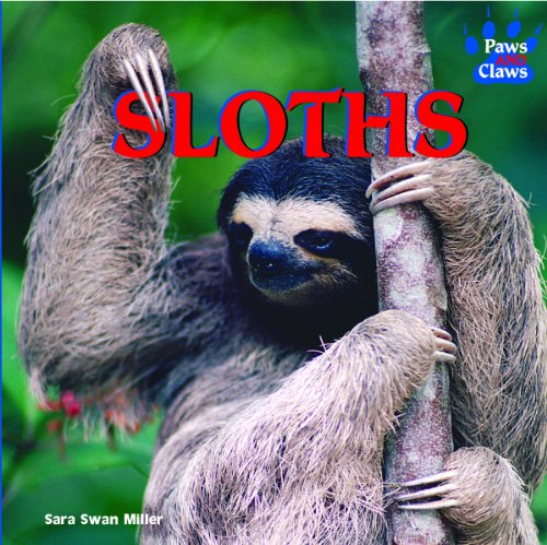 Beispielbild fr Sloths zum Verkauf von Better World Books