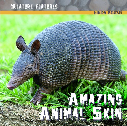 Imagen de archivo de Amazing Animal Skin (Creature Features) a la venta por Bookmonger.Ltd