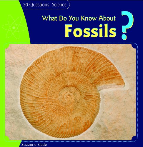 Stock image for What Do You Know about Fossils? for sale by Better World Books: West