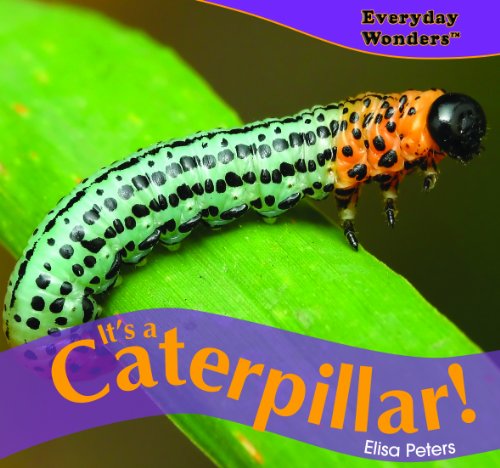 Beispielbild fr It's a Caterpillar! zum Verkauf von Better World Books