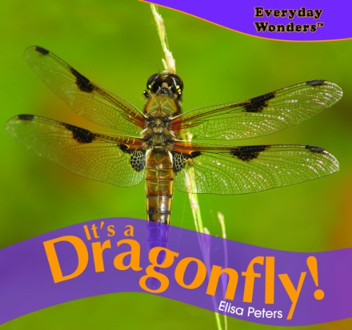 Beispielbild fr It's a Dragonfly! zum Verkauf von Better World Books