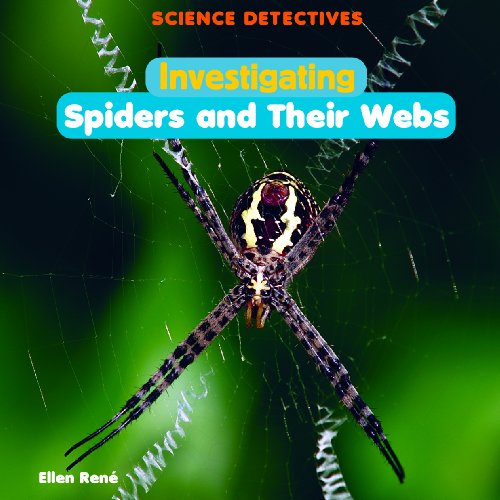 Imagen de archivo de Investigating Spiders and Their Webs a la venta por Better World Books