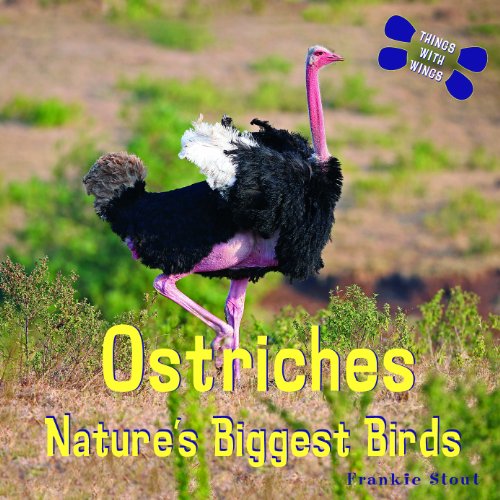 Beispielbild fr Ostriches : Nature's Biggest Birds zum Verkauf von Better World Books
