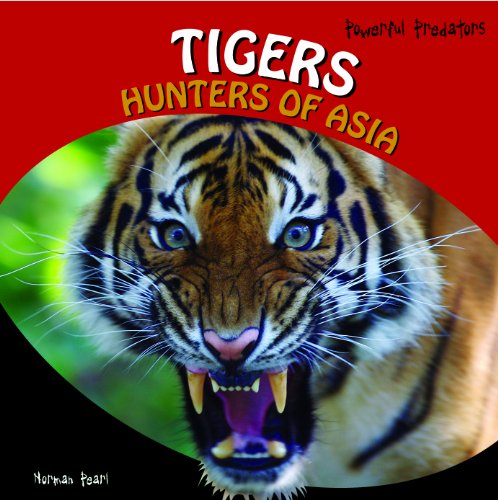 Imagen de archivo de Tigers : Hunters of Asia a la venta por Better World Books: West