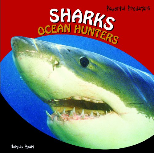 Stock image for Sharks : Ocean Hunters for sale by Better World Books