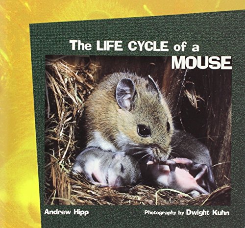 Stock image for The Life Cycle of a Mouse for sale by Better World Books