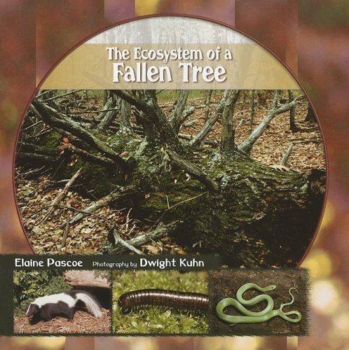 9781404252059: The Ecosystem of a Fallen Tree (Library of Small Ecosystems)