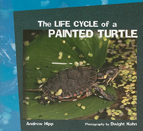 Imagen de archivo de The Life Cycle of a Painted Turtle (Life Cycles) a la venta por SecondSale