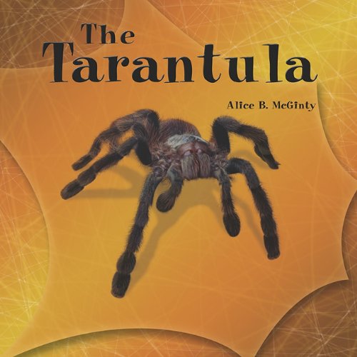 9781404255678: The Tarantula (The Library of Spiders)