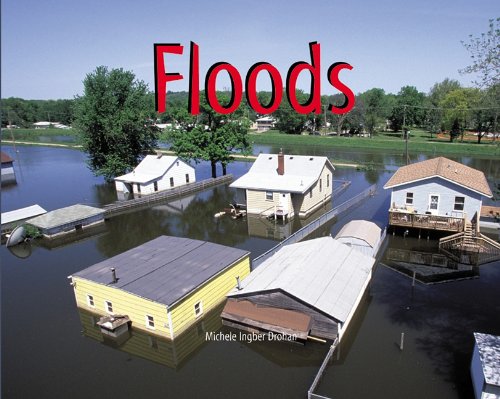Stock image for Floods for sale by Revaluation Books