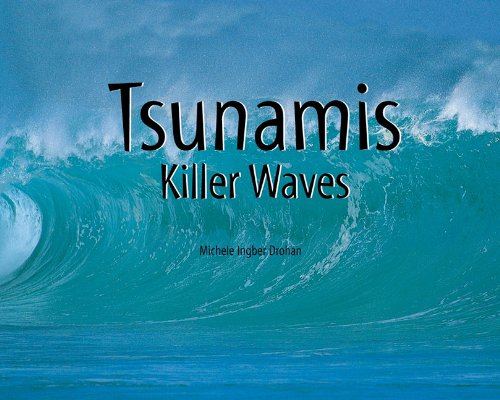 9781404255807: Tsunamis: Killer Waves (Natural Disasters)