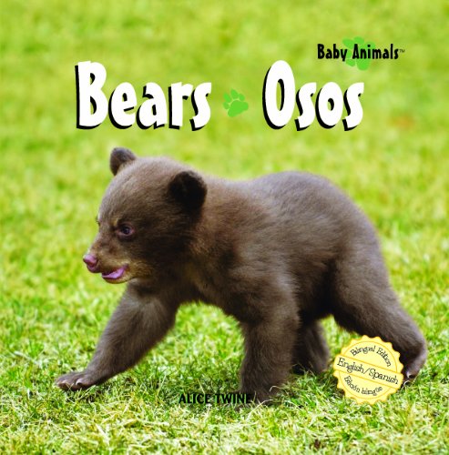 Beispielbild fr Bears/Osos (Baby Animals) (Spanish and English Edition) zum Verkauf von Half Price Books Inc.