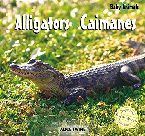 Imagen de archivo de Alligators (Baby Animals) / Caimanes (Animales bebé) (Spanish and English Edition) a la venta por -OnTimeBooks-