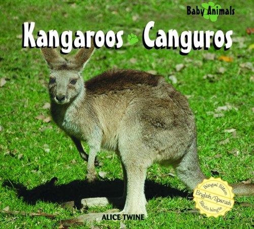 Imagen de archivo de Kangaroos/ Canguros (Baby Animals/Animales Beb?) (Spanish and English Edition) a la venta por SecondSale