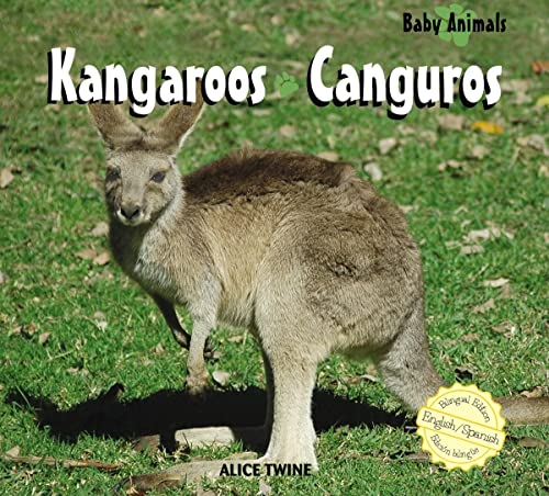 Stock image for Kangaroos/ Canguros (Baby Animals/Animales Beb?) (Spanish and English Edition) for sale by SecondSale