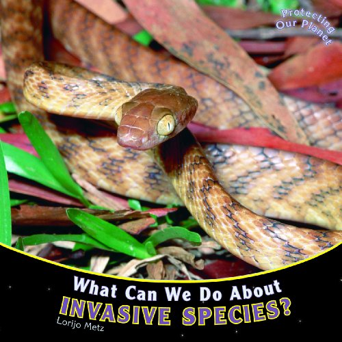 Stock image for What Can We Do about Invasive Species? for sale by ThriftBooks-Dallas