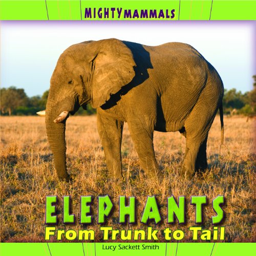 9781404281028: Elephants: From Trunk to Tail (Mighty Mammals)