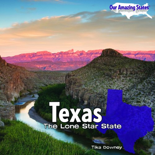 Stock image for Texas : The Lone Star State for sale by Better World Books