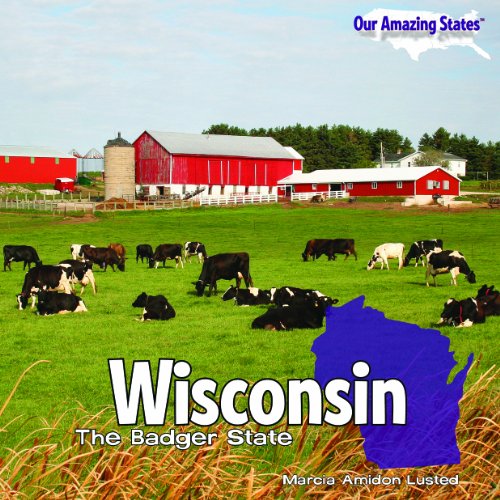 Wisconsin: The Badger State (Our Amazing States) (9781404281202) by Lusted, Marcia Amidon