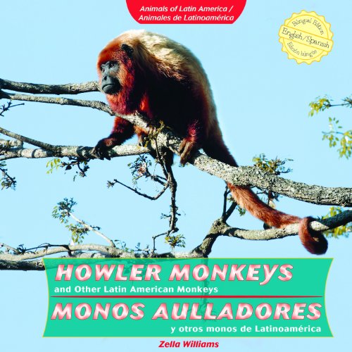 Stock image for Howler Monkeys and Other Latin American Monkeys / Monos aulladores y otros monos de Latinoamerica (Animals of Latin America / Animales De Latinoamerica) (Spanish and English Edition) for sale by Irish Booksellers