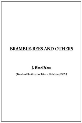 Bramble-Bees and Others (9781404300149) by Fabre, Jean-Henri