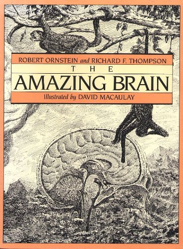 9781404528956: The Amazing Brain