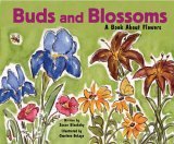 Beispielbild fr Buds and Blossoms : A Book about Flowers zum Verkauf von Better World Books