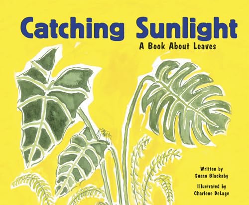 Beispielbild fr Catching Sunlight: A Book About Leaves zum Verkauf von Revaluation Books