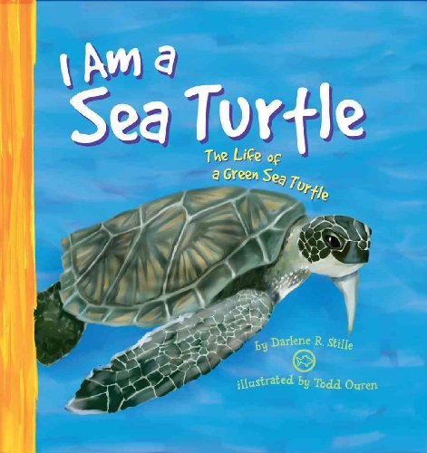 Stock image for I Am a Sea Turtle: The Life of a Green Sea Turtle (I Live in the Ocean) for sale by Ergodebooks