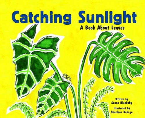 Catching Sunlight: A Book About Leaves (Growing Things) (9781404808263) by Susan Blackaby