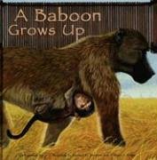 Stock image for A Baboon Grows Up (Wild Animals) for sale by Irish Booksellers