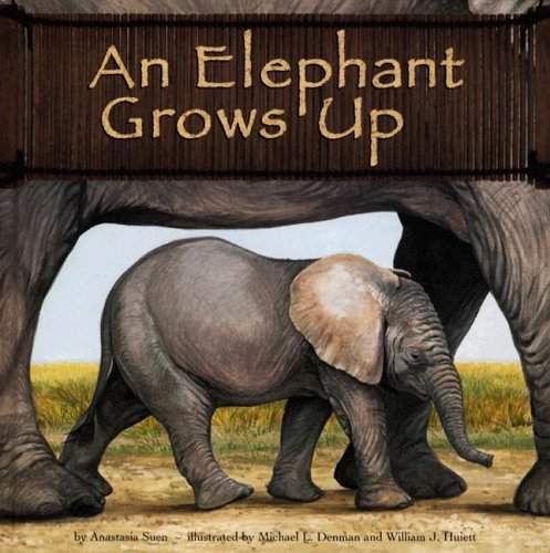 9781404809840: An Elephant Grows Up (Wild Animals)