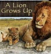Stock image for A Lion Grows Up (Wild Animals) for sale by SecondSale