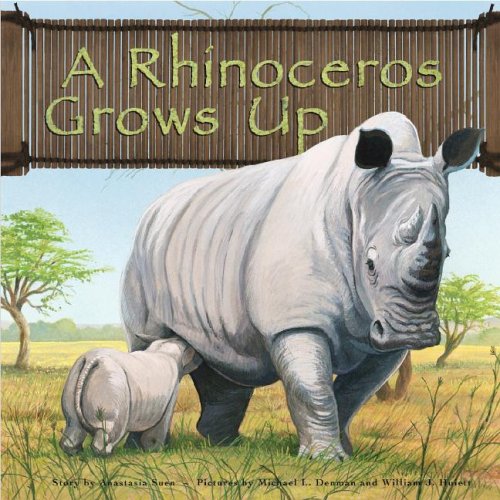 Imagen de archivo de A Rhinoceros Grows Up a la venta por Better World Books