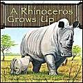 Stock image for A Rhinoceros Grows Up for sale by Better World Books